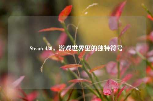 Steam 480,游戏世界里的独特符号