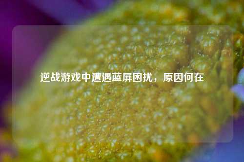 逆战游戏中遭遇蓝屏困扰,原因何在