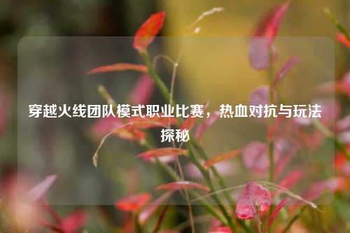 穿越火线团队模式职业比赛,热血对抗与玩法探秘