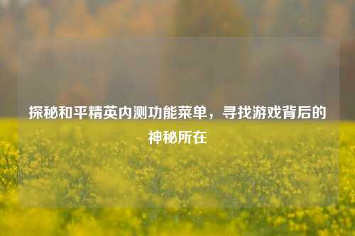探秘和平精英内测功能菜单,寻找游戏背后的神秘所在