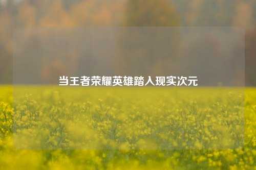 当王者荣耀英雄踏入现实次元
