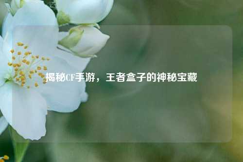 揭秘CF手游,王者盒子的神秘宝藏