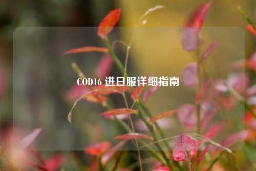COD16 进日服详细指南