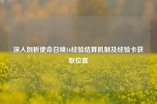 深入剖析使命召唤16经验结算机制及经验卡获取位置