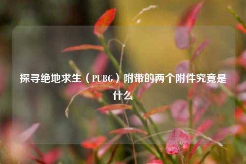探寻绝地求生(PUBG)附带的两个附件究竟是什么