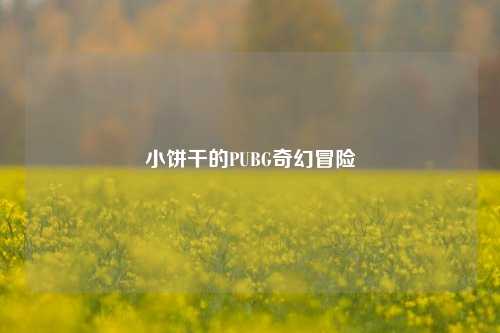 小饼干的PUBG奇幻冒险
