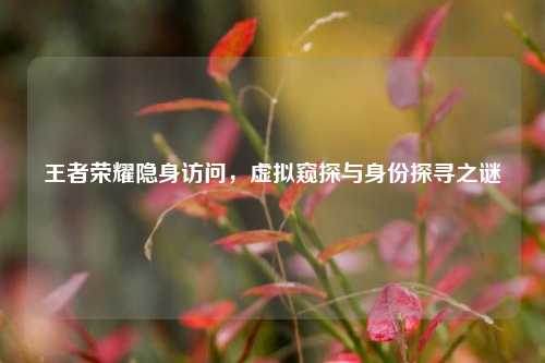 王者荣耀隐身访问,虚拟窥探与身份探寻之谜