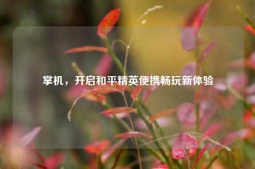 掌机，开启和平精英便携畅玩新体验