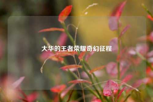 大华的王者荣耀奇幻征程