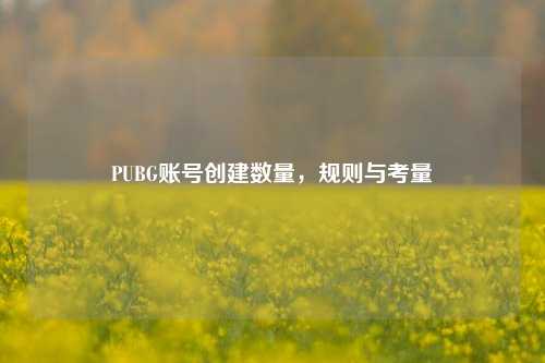 PUBG账号创建数量,规则与考量