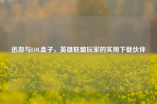 迅游与LOL盒子,英雄联盟玩家的实用下载伙伴