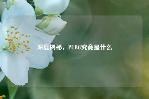 深度揭秘,PUBG究竟是什么