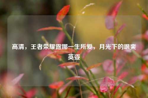 高清,王者荣耀露娜一生所爱,月光下的飒爽英姿