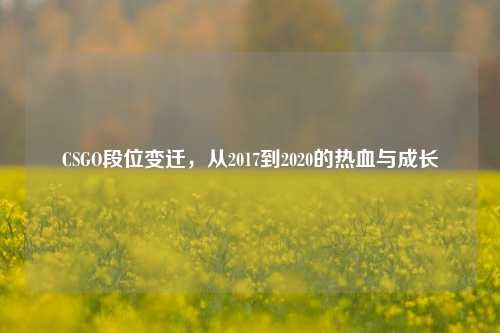 CSGO段位变迁,从2017到2020的热血与成长