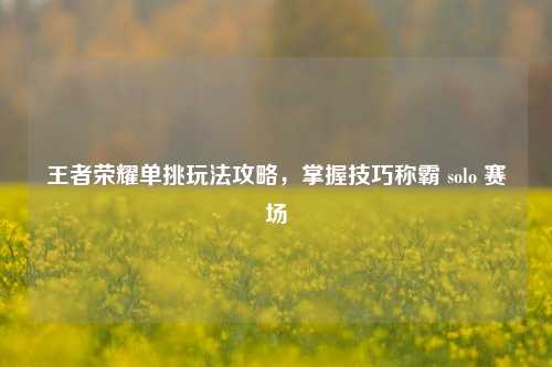 王者荣耀单挑玩法攻略,掌握技巧称霸 solo 赛场