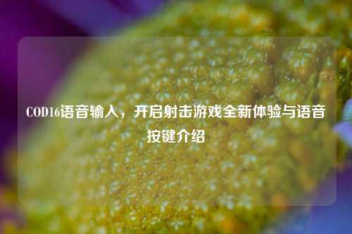 COD16语音输入，开启射击游戏全新体验与语音按键介绍