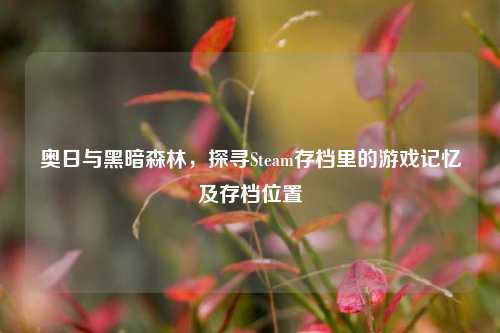 奥日与黑暗森林,探寻Steam存档里的游戏记忆及存档位置