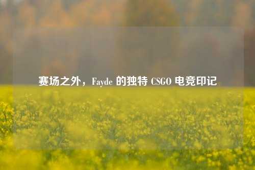 赛场之外,Fayde 的独特 CSGO 电竞印记