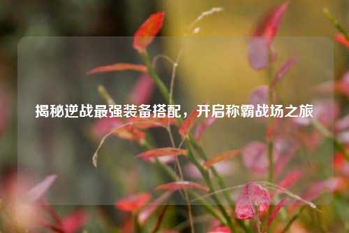 揭秘逆战最强装备搭配,开启称霸战场之旅