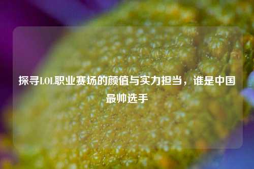 探寻LOL职业赛场的颜值与实力担当，谁是中国最帅选手