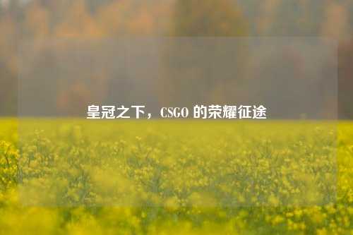 皇冠之下,CSGO 的荣耀征途