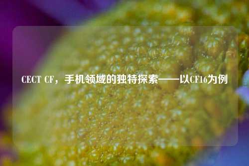 CECT CF,手机领域的独特探索——以CF16为例
