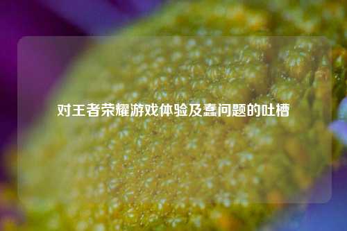 对王者荣耀游戏体验及蠢问题的吐槽