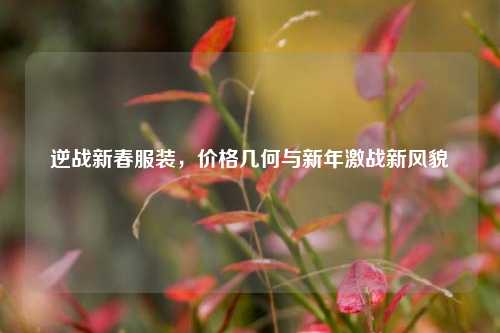 逆战新春服装,价格几何与新年激战新风貌