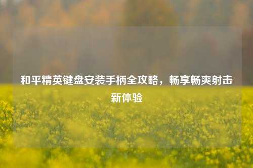 和平精英键盘安装手柄全攻略,畅享畅爽射击新体验