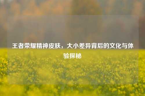 王者荣耀精神皮肤,大小差异背后的文化与体验探秘