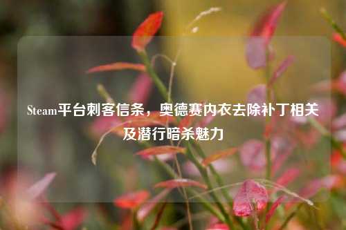 Steam平台刺客信条,奥德赛内衣去除补丁相关及潜行暗杀魅力