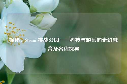 探秘,Steam 挑战公园——科技与游乐的奇幻融合及名称探寻
