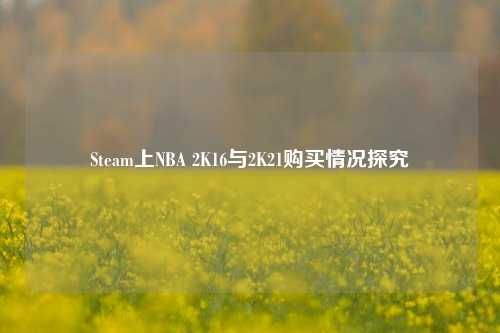 Steam上NBA 2K16与2K21购买情况探究