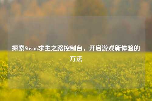 探索Steam求生之路控制台,开启游戏新体验的方法