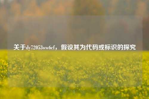 关于dy72053ww6cf,假设其为代码或标识的探究