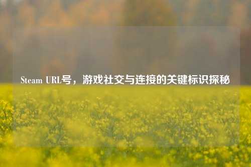 Steam URL号，游戏社交与连接的关键标识探秘