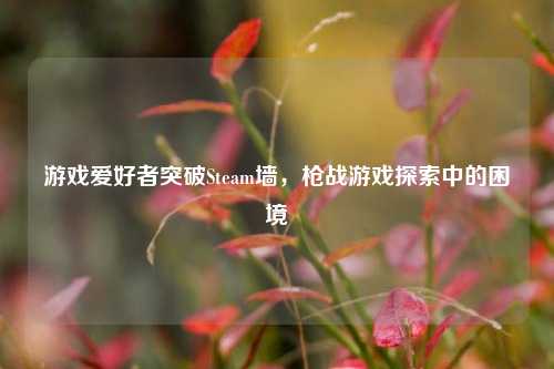 游戏爱好者突破Steam墙,枪战游戏探索中的困境