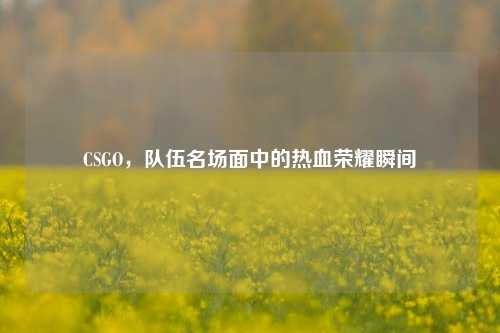 CSGO,队伍名场面中的热血荣耀瞬间