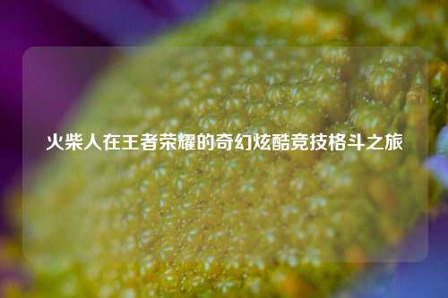 火柴人在王者荣耀的奇幻炫酷竞技格斗之旅