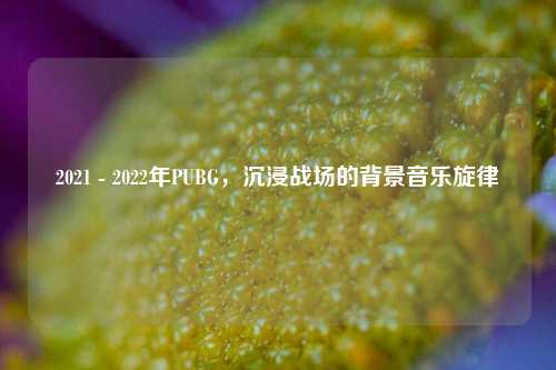 2021 - 2022年PUBG，沉浸战场的背景音乐旋律