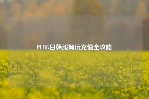 PUBG日韩服畅玩充值全攻略