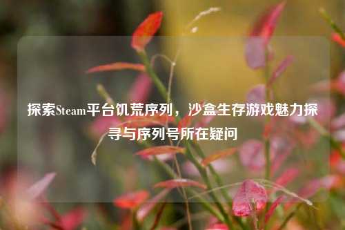 探索Steam平台饥荒序列，沙盒生存游戏魅力探寻与序列号所在疑问