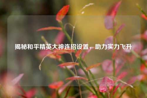 揭秘和平精英大神连招设置，助力实力飞升
