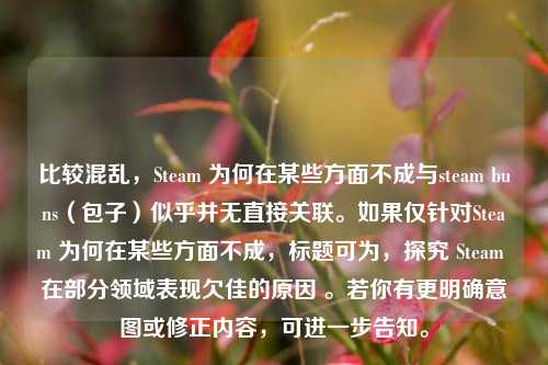 比较混乱,Steam 为何在某些方面不成与steam buns(包子)似乎并无直接关联。如果仅针对Steam 为何在某些方面不成,标题可为,探究 Steam 在部分领域表现欠佳的原因 。若你有更明确意图或修正内容,可进一步告知。