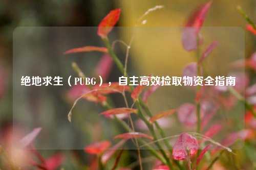 绝地求生（PUBG），自主高效捡取物资全指南