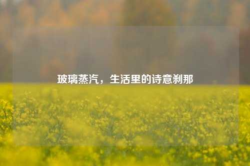 玻璃蒸汽，生活里的诗意刹那