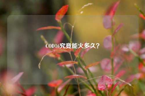COD16究竟能火多久?