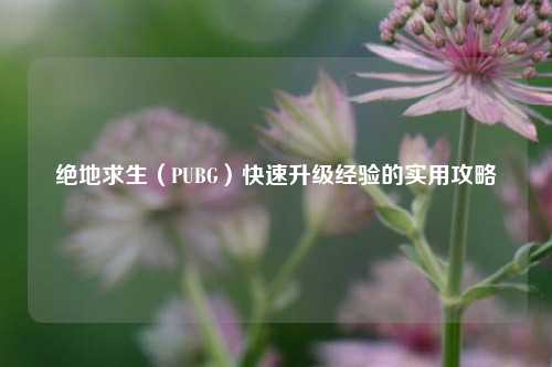 绝地求生（PUBG）快速升级经验的实用攻略