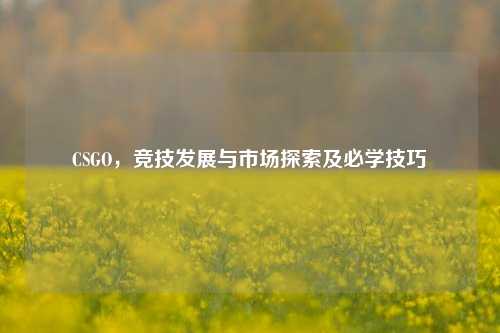 CSGO，竞技发展与市场探索及必学技巧