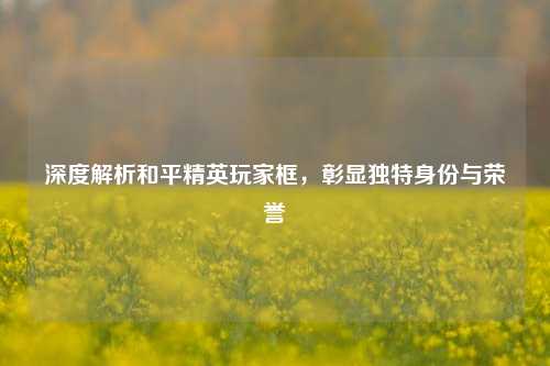 深度解析和平精英玩家框，彰显独特身份与荣誉